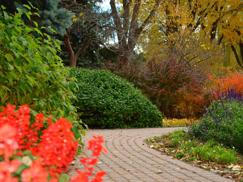 Autumn scene