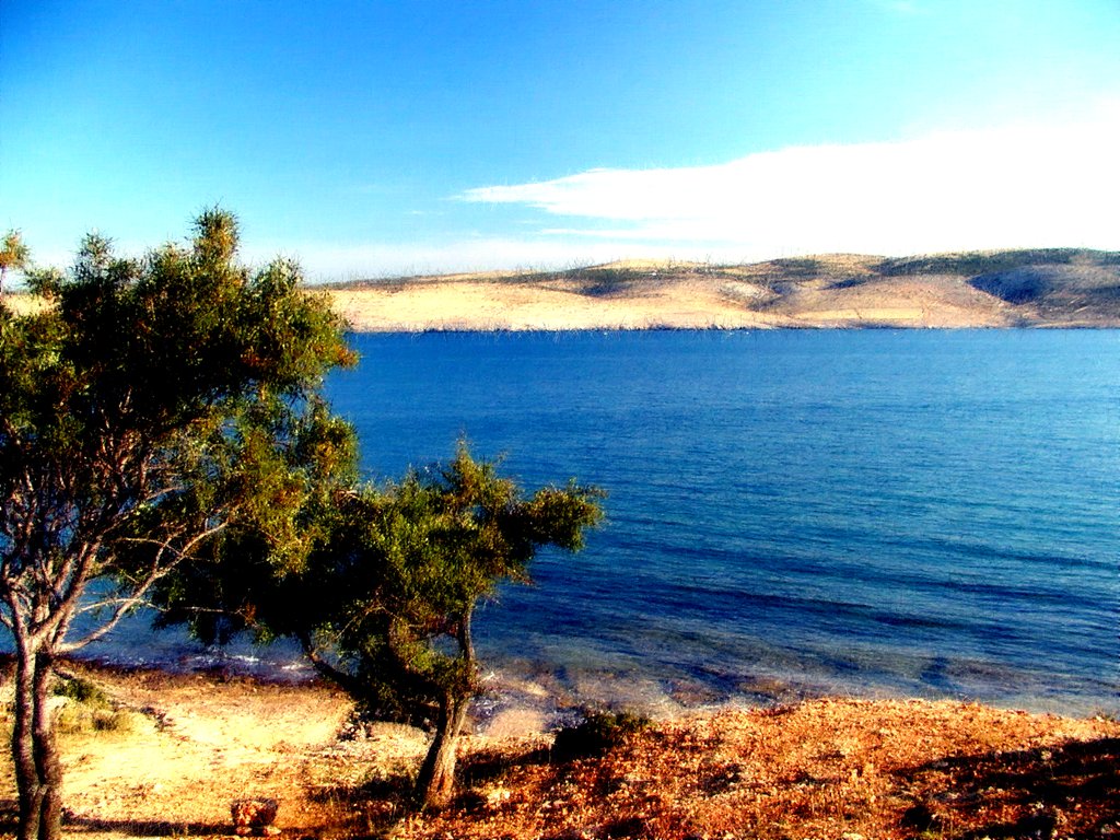 Beach and sea