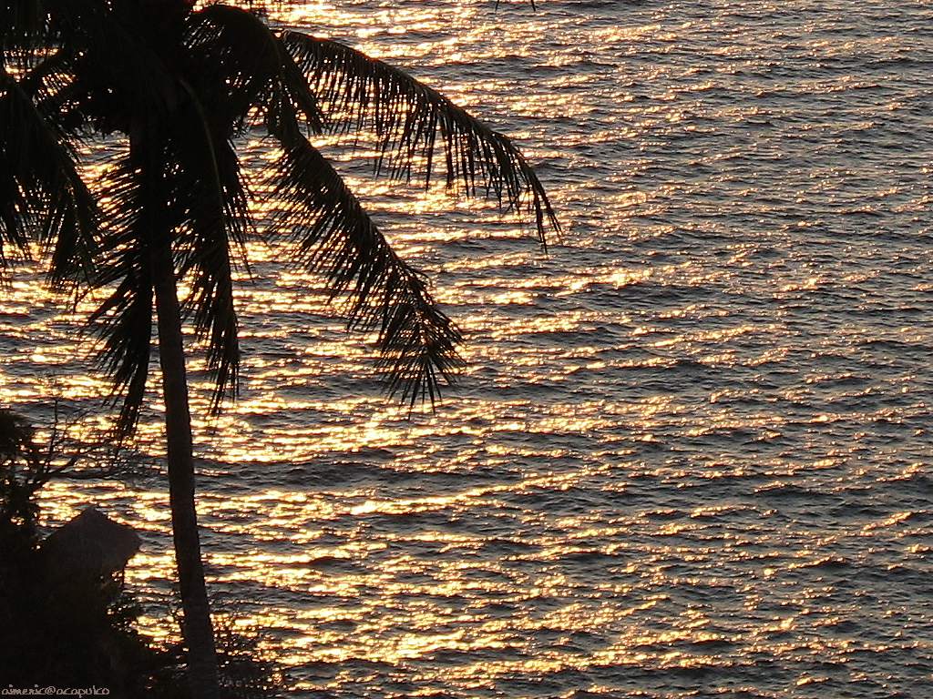 Beach and sea