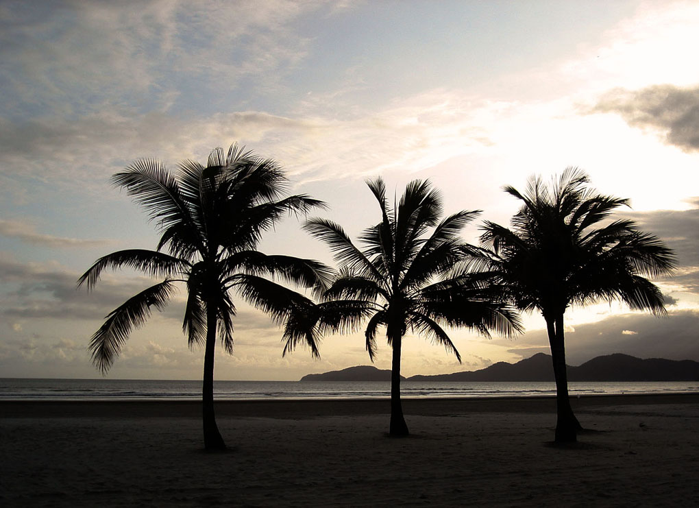 Beach and sea