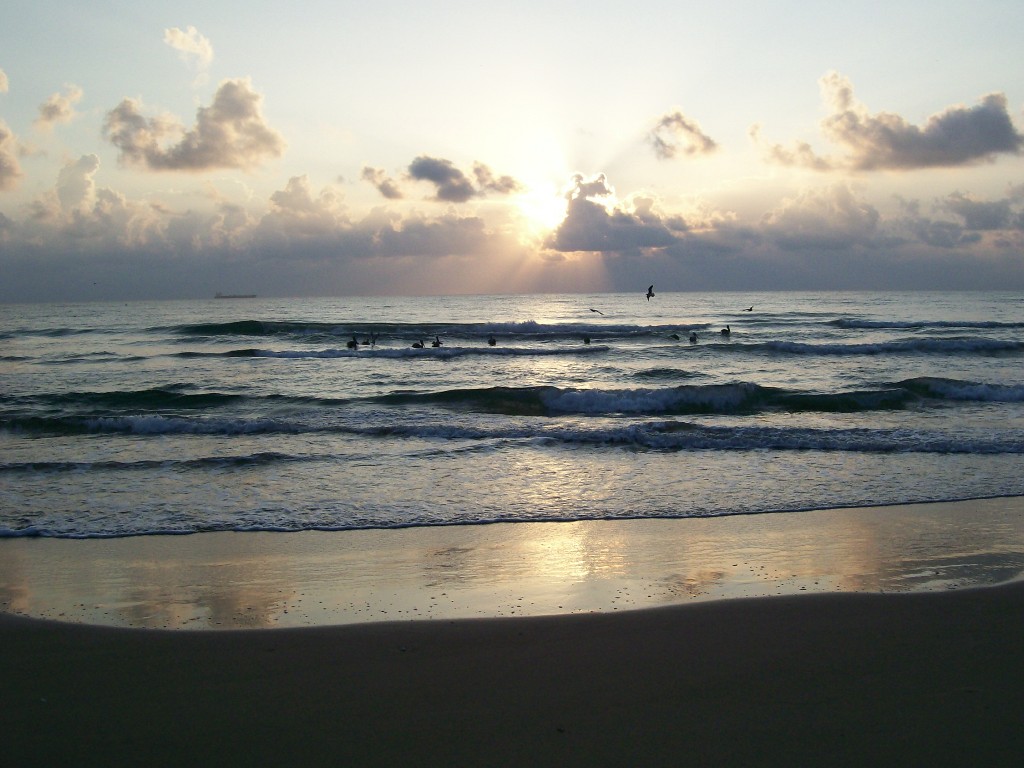 Beach and sea