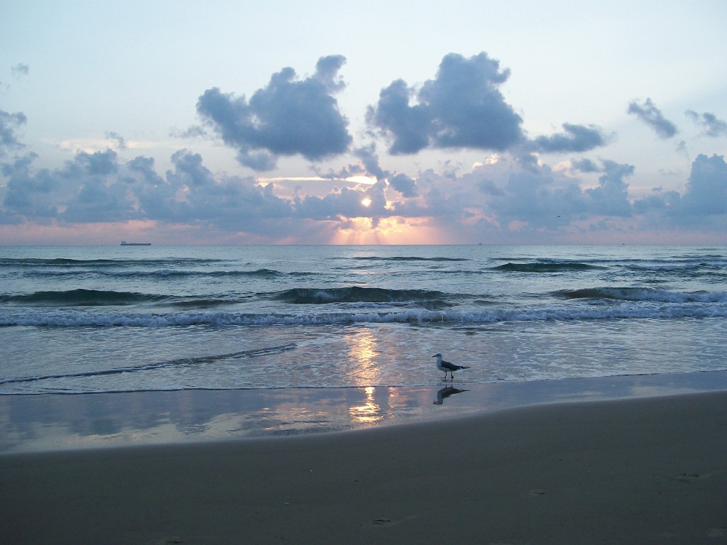 Beach and sea