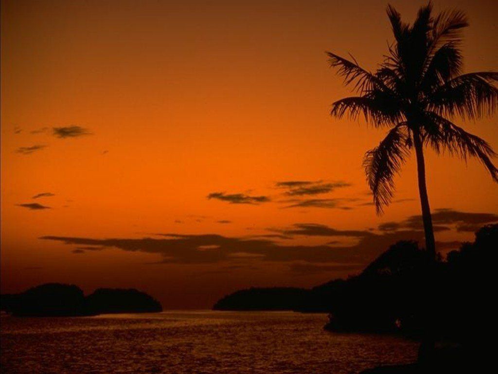 Beach and sea