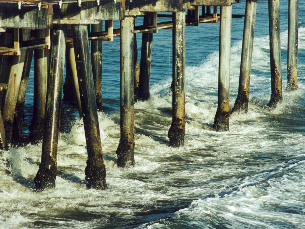 Beach and sea