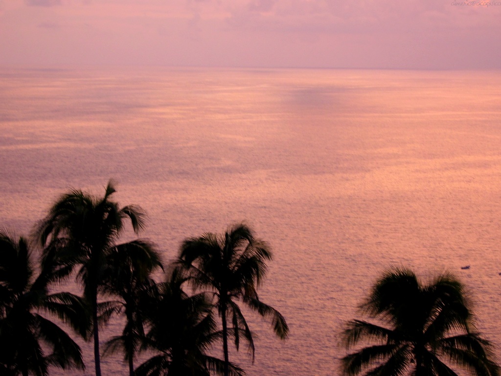 Beach and sea