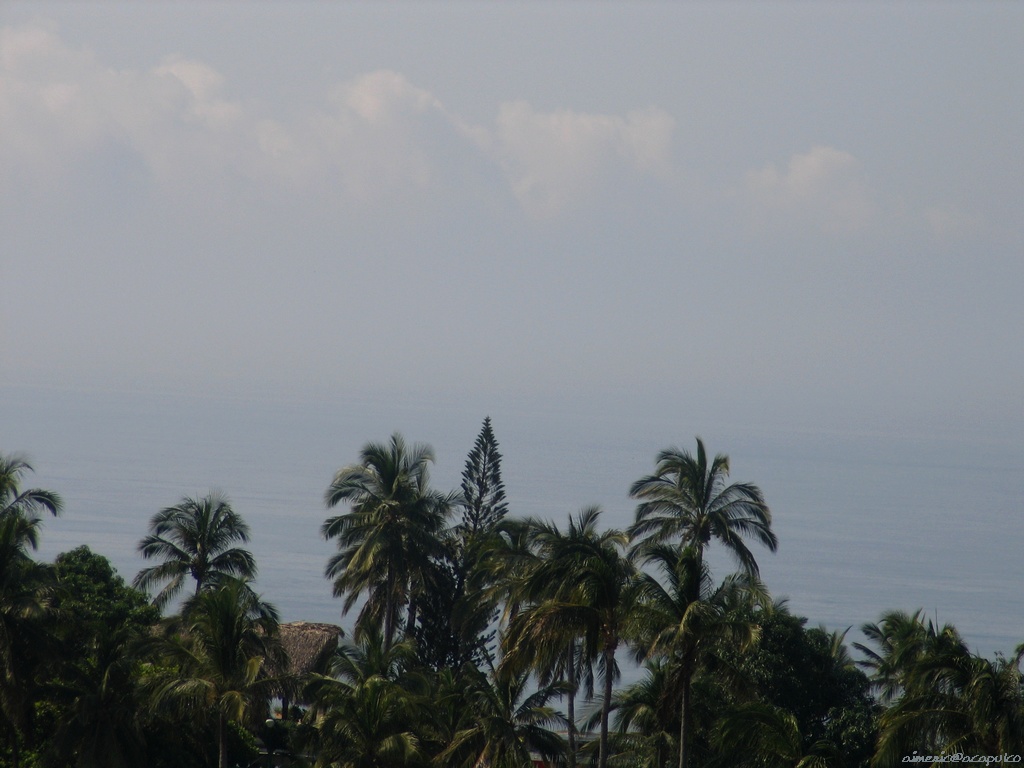 Beach and sea