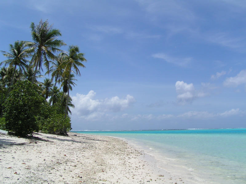 Beach and sea