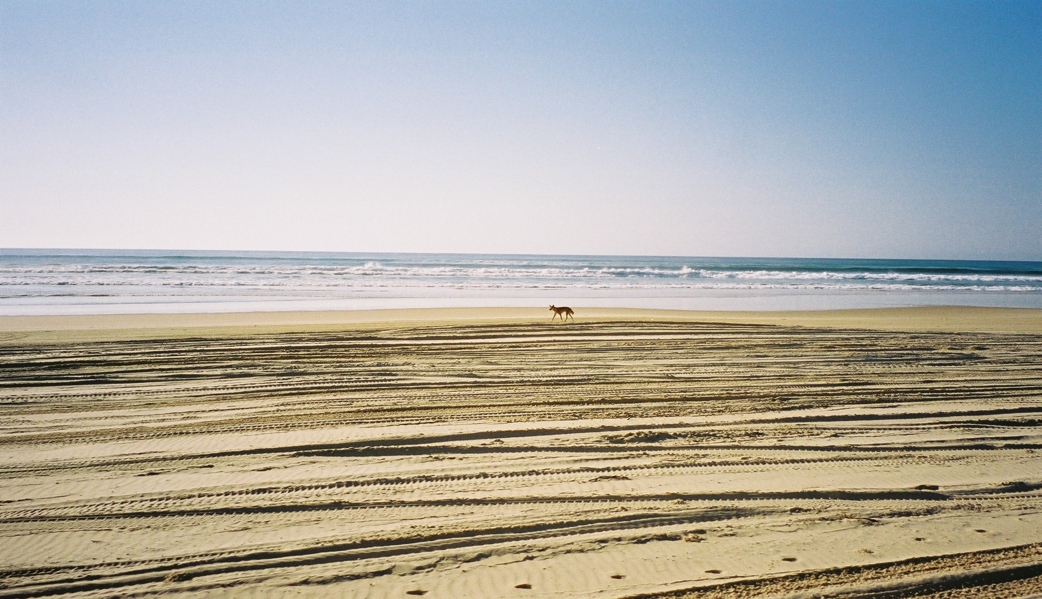 Beach and sea