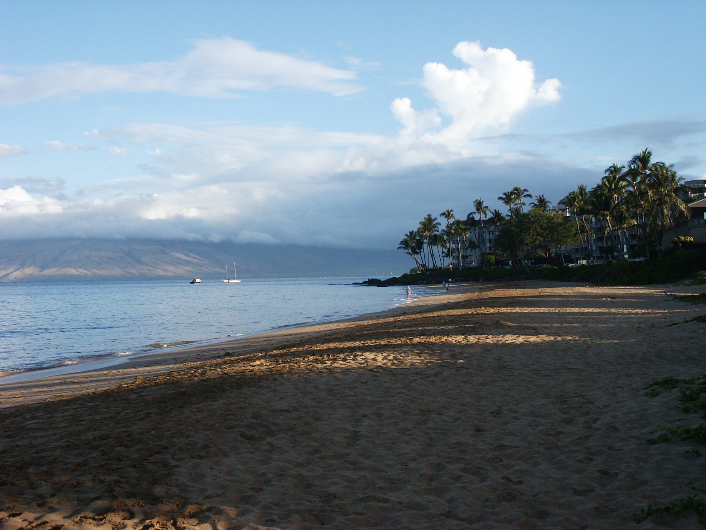 Beach and sea