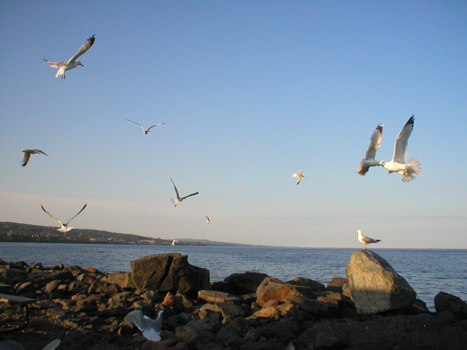 Beach and sea