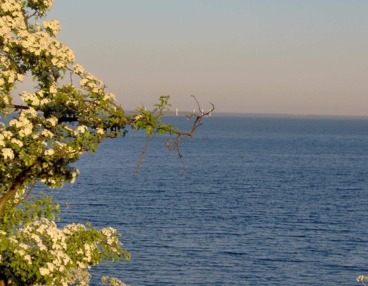 Beach and sea