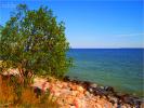 Beach and sea