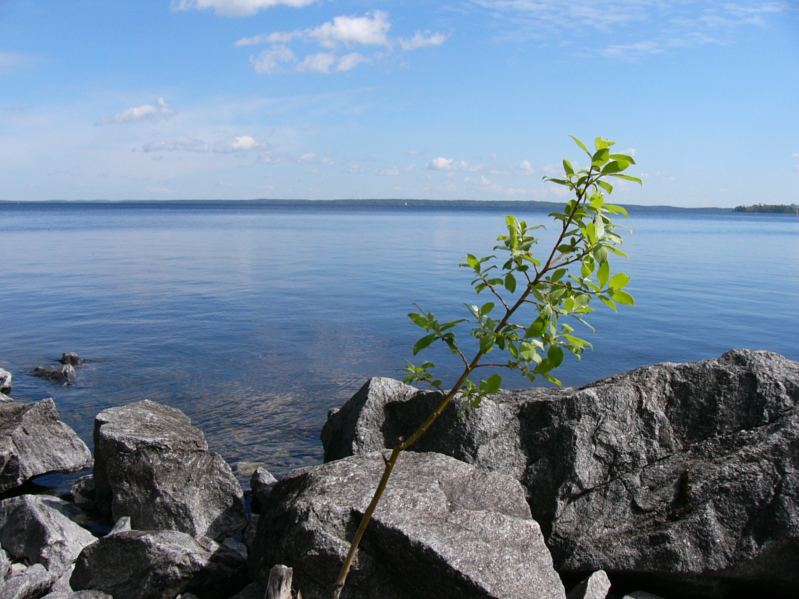 Lake