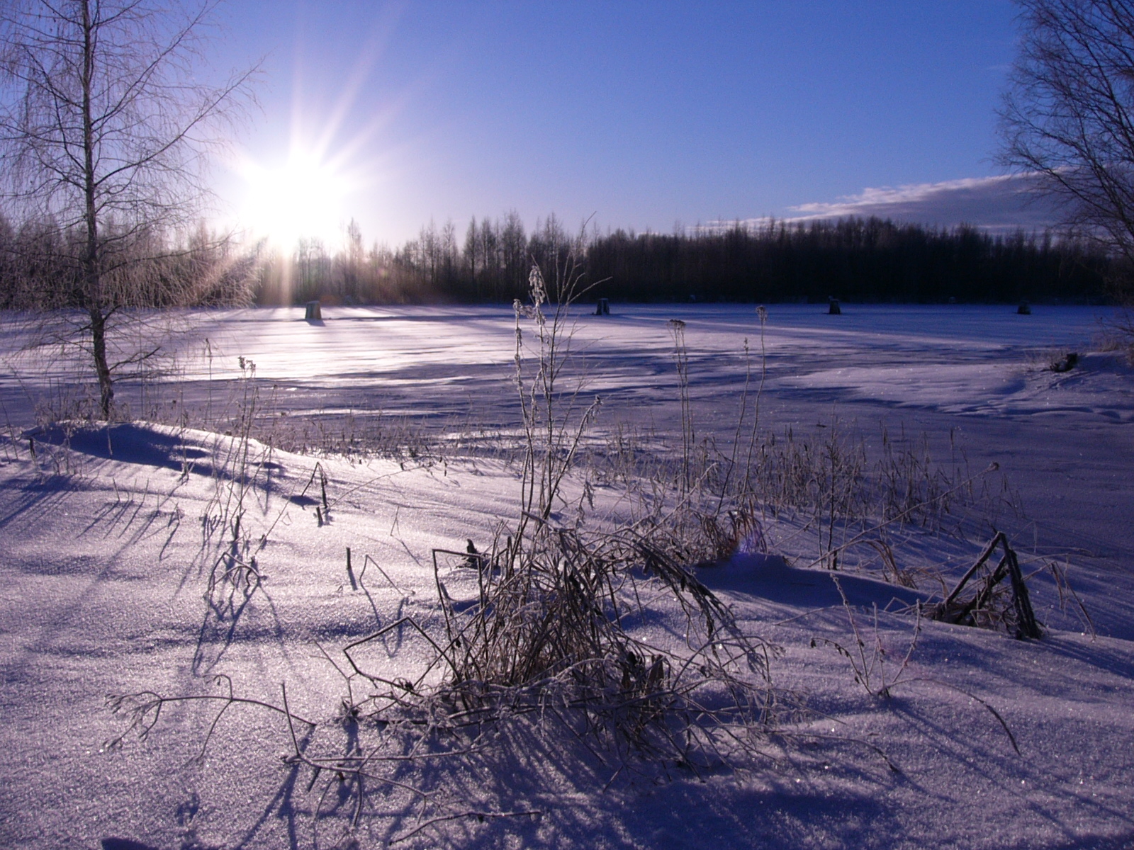 Winter scene