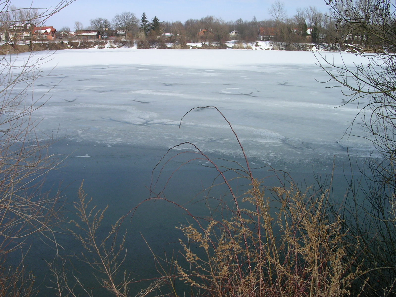 Winter scene