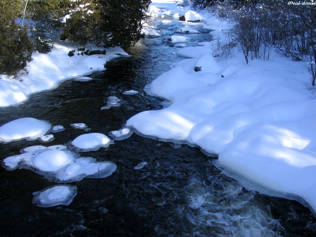 Winter scene