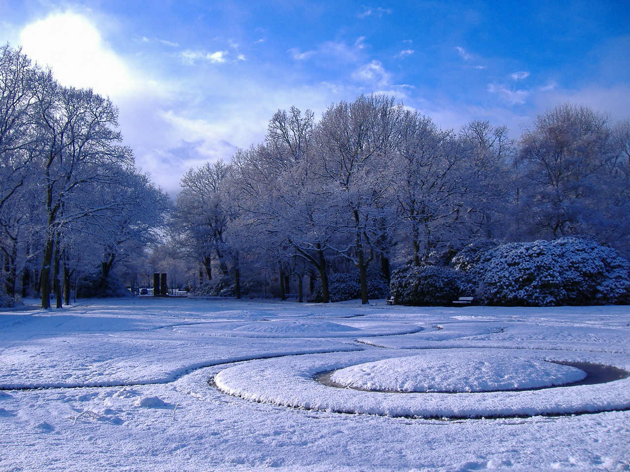 Winter scene