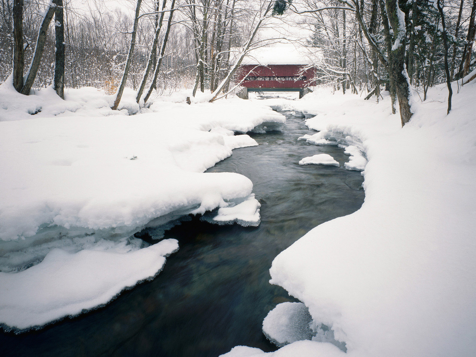 Winter scene