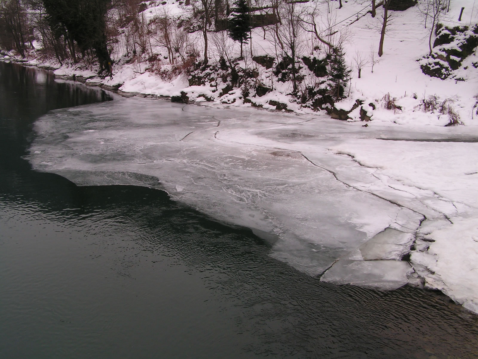 Winter scene